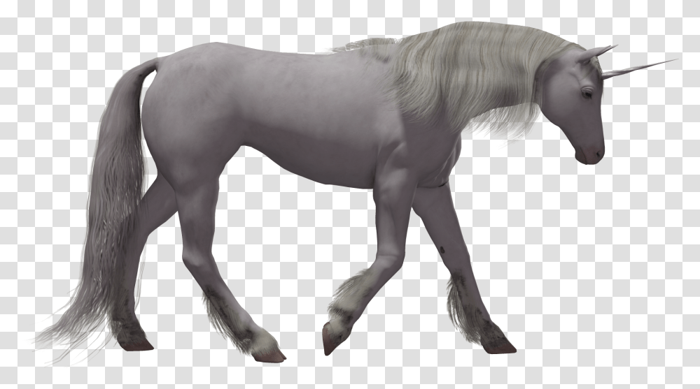 Clipart Unicorn Background Realistic Magical Unicorn, Horse, Mammal, Animal, Stallion Transparent Png
