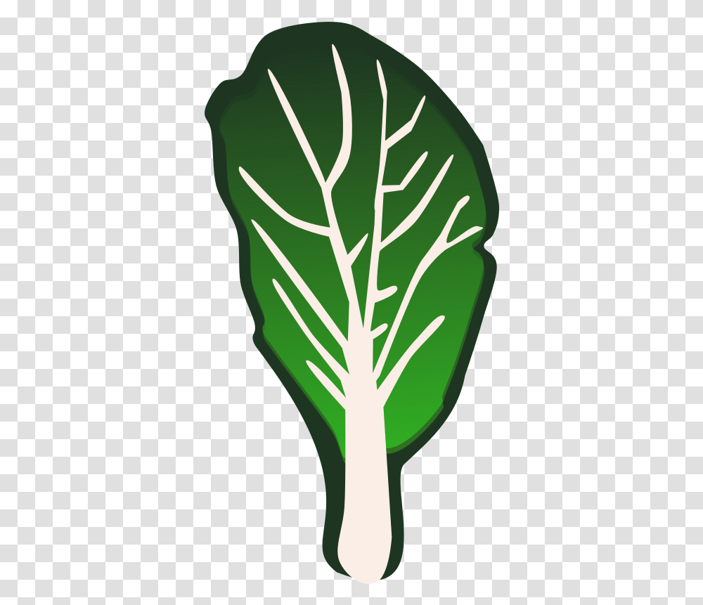 Clipart Vegetables Kale Turnip Greens Clip Art, Plant, Food, Produce, Leek Transparent Png