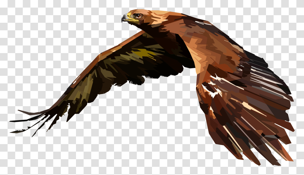 Clipart, Vulture, Bird, Animal, Eagle Transparent Png
