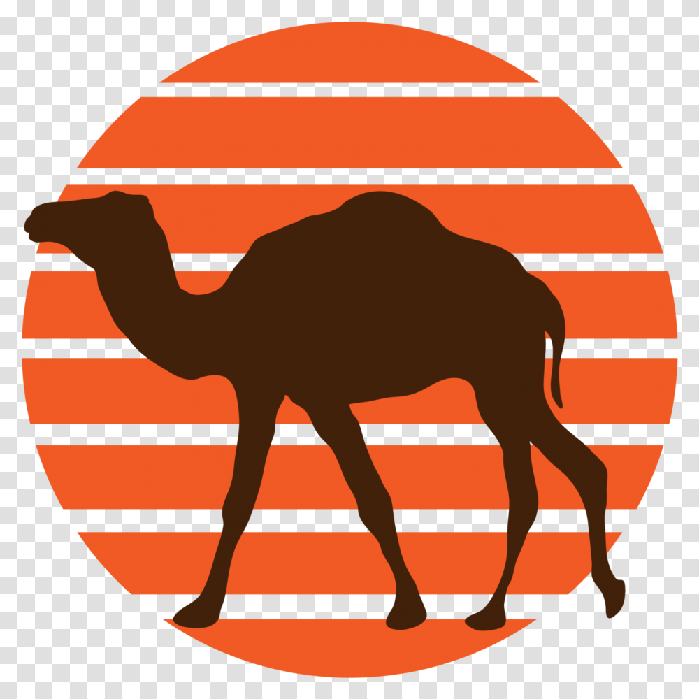 Clipart Walking Camel American Psychology Association Logo, Mammal, Animal, Cow, Cattle Transparent Png