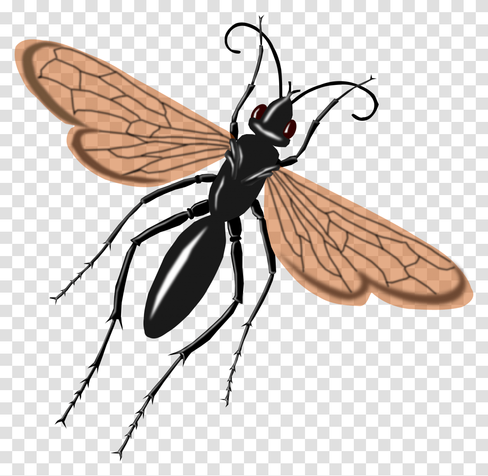 Clipart, Wasp, Bee, Insect, Invertebrate Transparent Png