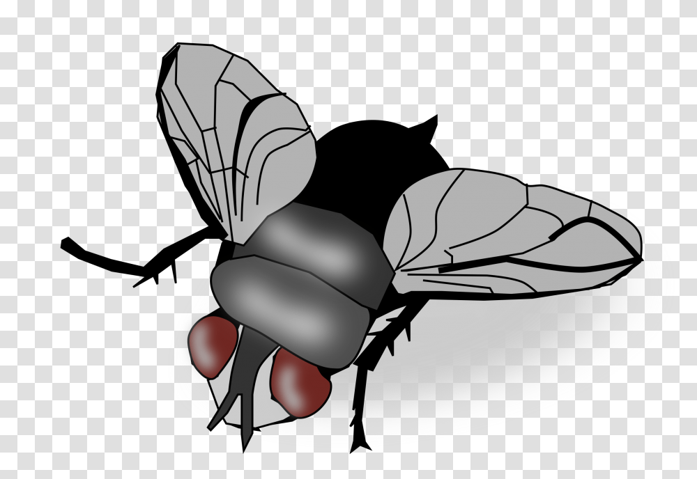 Clipart, Wasp, Bee, Insect, Invertebrate Transparent Png