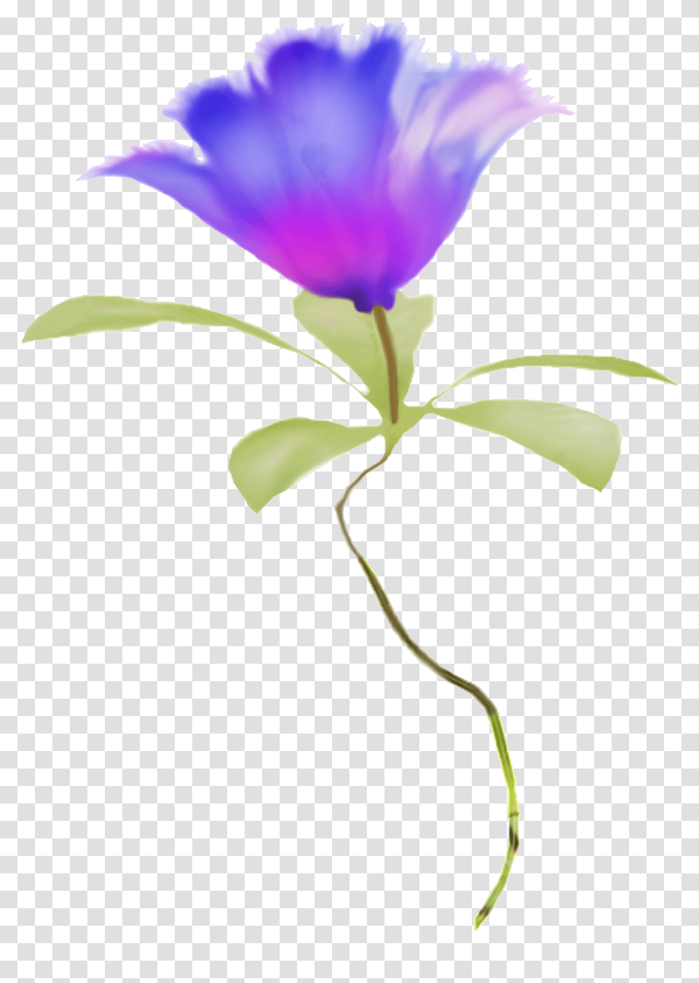 Clipart Watercolor Flowers Blue, Petal, Plant, Iris, Anther Transparent Png