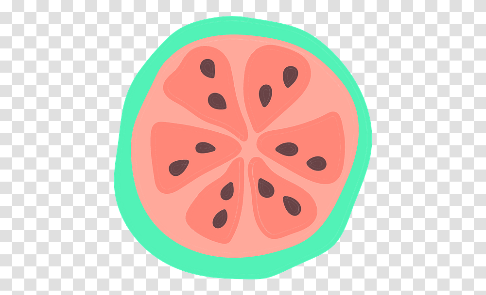 Clipart Watermelon, Plant, Fruit, Food, Grapefruit Transparent Png