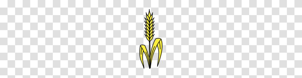 Clipart Wheat Look, Bush, Vegetation, Plant, Dynamite Transparent Png