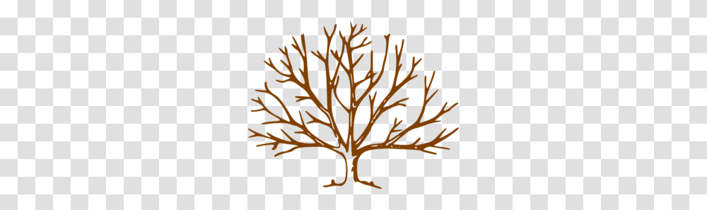 Clipart Wide Tree Clip Art Images, Plant, Poster, Advertisement, Leaf Transparent Png