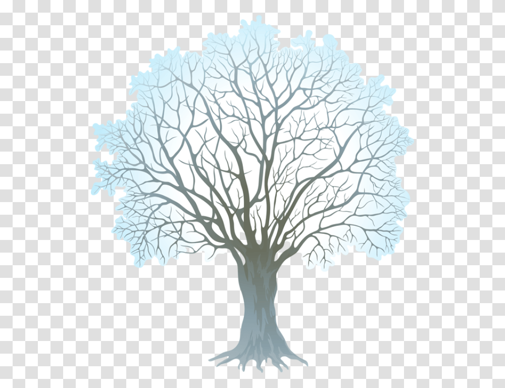 Clipart Winter Watercolor Winter Tree Clipart, Plant, Tree Trunk, Painting, Oak Transparent Png