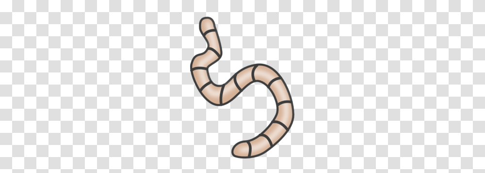Clipart Worms Free Clip Art Images, Invertebrate, Animal, Person, Human Transparent Png