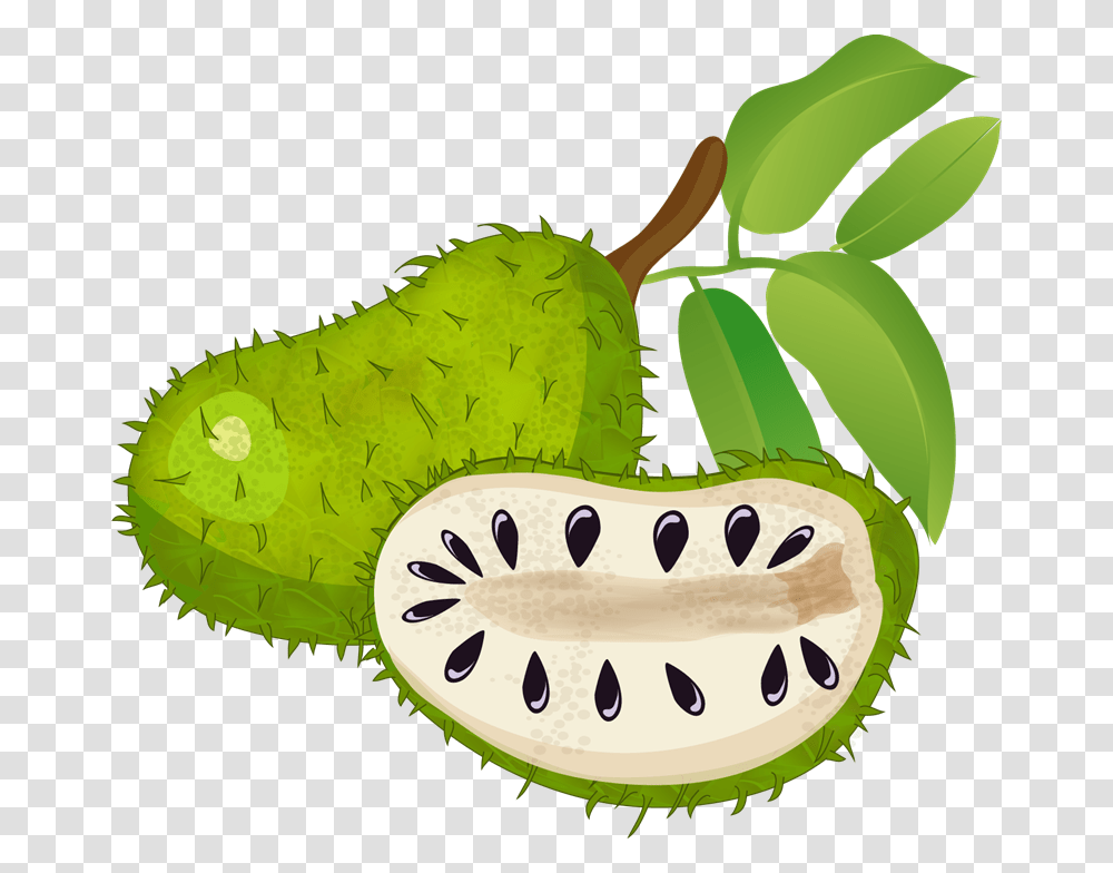 Clipartlord Com Exclusive Soursop Is A Tropical Fruit Soursop Clipart, Plant, Produce, Food, Vegetable Transparent Png