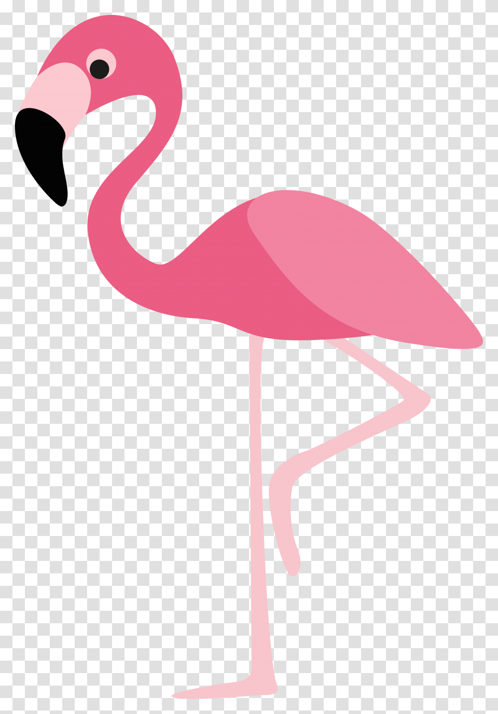 Clipartly Flamingo Cartoon Royalty Free Clip Art Flamingo Flamingo Cartoon, Animal, Bird, Lamp, Beak Transparent Png
