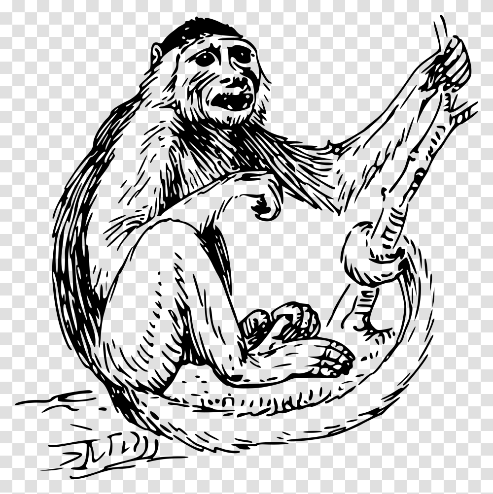 Cliparts For Free Monkey Clipart Black And White, Gray, World Of Warcraft Transparent Png
