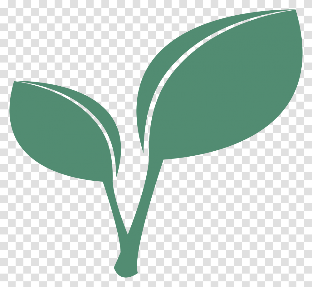 Cliparts Making The Web Apple Leaf With Stem Clipart, Plant, Green, Flower, Blossom Transparent Png