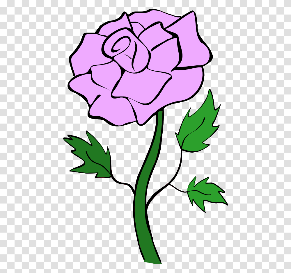 Cliparts Purple Tulips, Plant, Flower, Blossom, Leaf Transparent Png