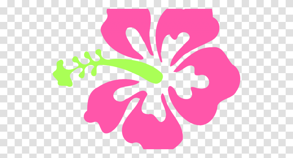 Cliparts Stargazer Lilly Clipart Hibiscus Flower, Plant, Blossom, Petal Transparent Png