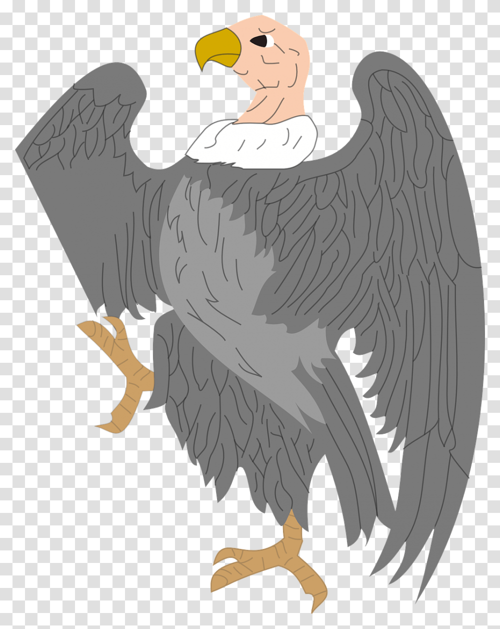 Cliparts Vulture, Bird, Animal, Eagle, Condor Transparent Png