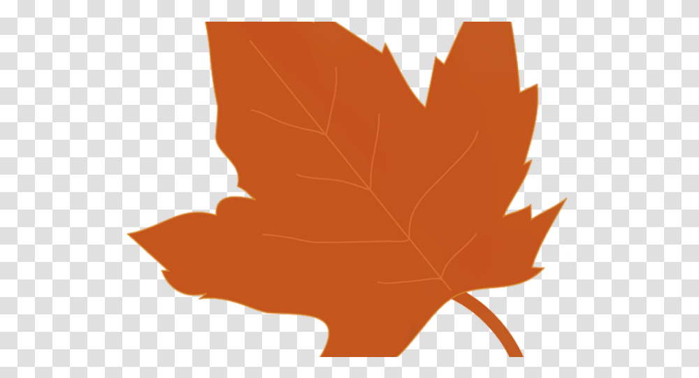 Clipcookdiarynet Autumn Leaves Clipart Autumn Clip Art Leaf With Background, Plant, Maple Leaf, Tree, Person Transparent Png