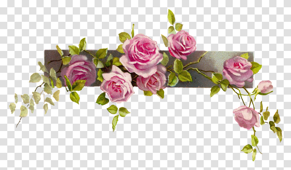 Clipcookdiarynet Pink Rose Clipart Format 25 1600 Vintage Flower Border, Plant, Blossom, Petal, Floral Design Transparent Png