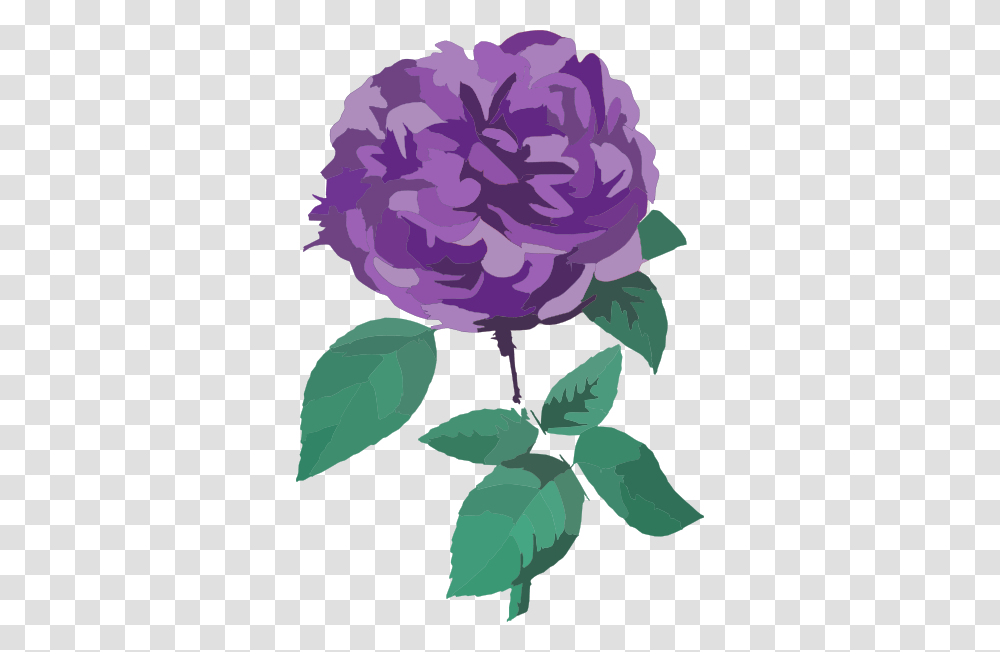 Clipcookdiarynet Purple Rose Clipart, Plant, Peony, Flower, Leaf Transparent Png