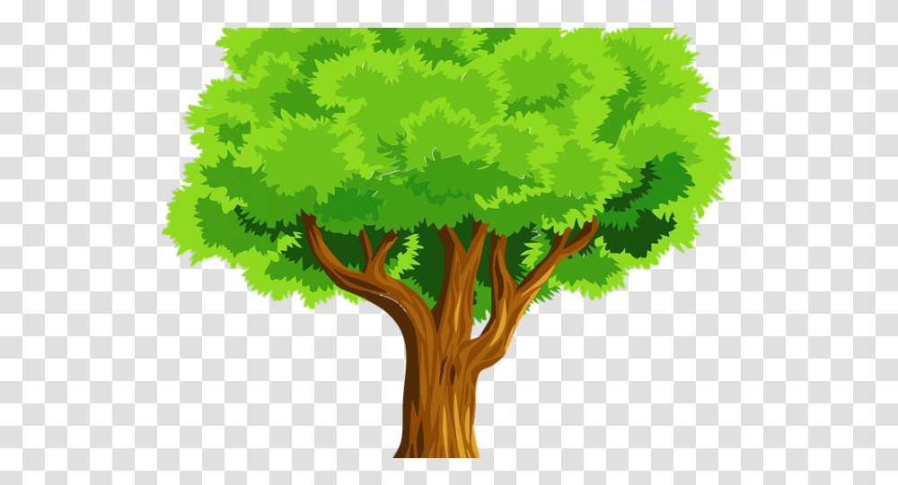Clipcookdiarynet Tree Clipart Background 17, Plant, Vegetation, Green, Bush Transparent Png