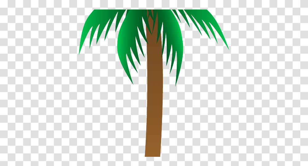 Clipcookdiarynet Tree Clipart Clipart, Plant, Palm Tree, Arecaceae, Green Transparent Png