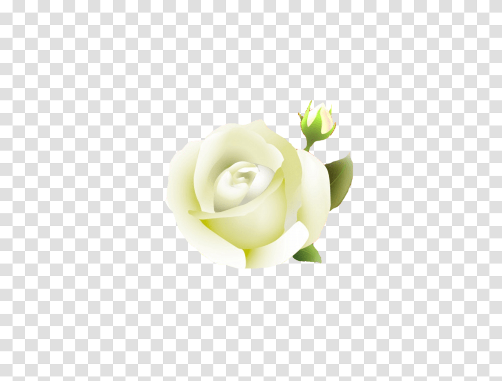Clipcookdiarynet Yellow Flower Clipart Hybrid Tea Rose, Plant, Blossom, Petal, Flower Arrangement Transparent Png