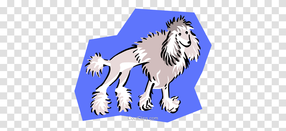 Clipped Poodle Royalty Free Vector Clip Art Illustration, Animal, Mammal, Zebra, Wildlife Transparent Png