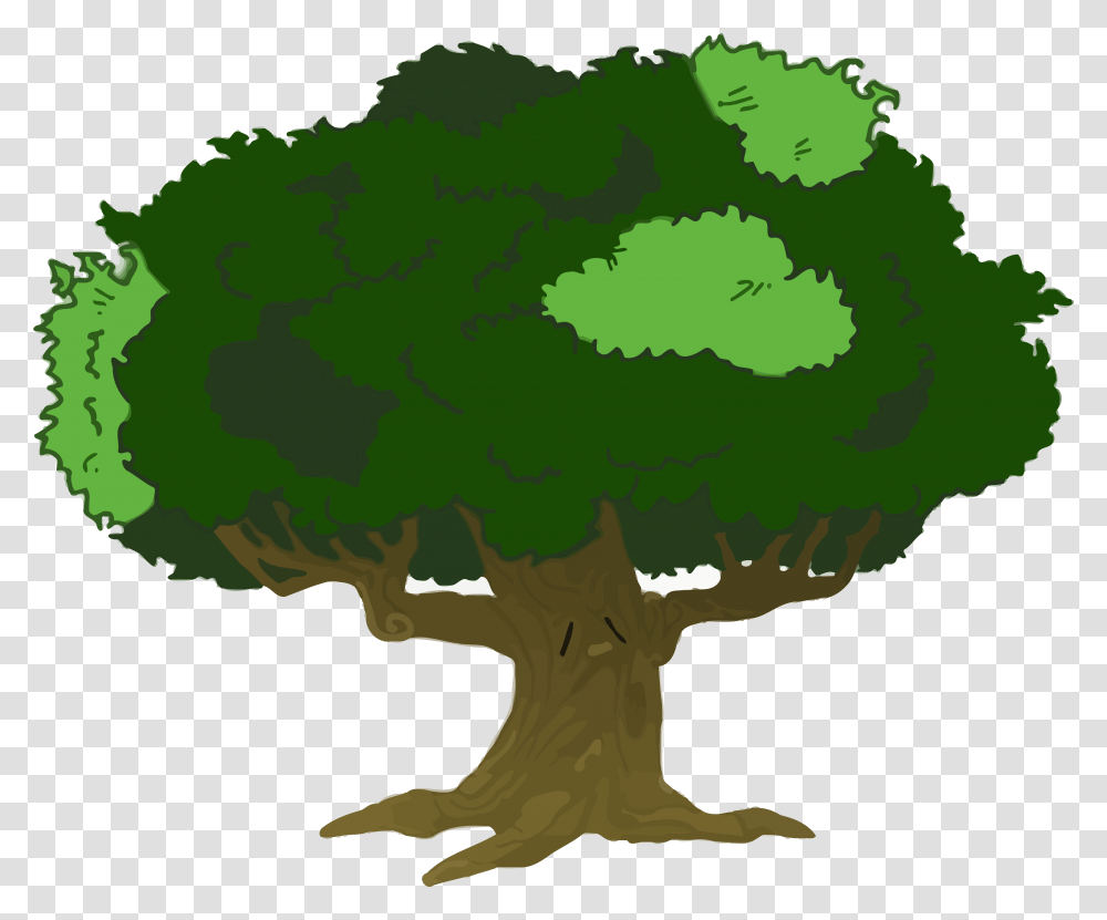 Clker Cartoon Tree With Branches, Plant, Plot, Diagram, Map Transparent Png