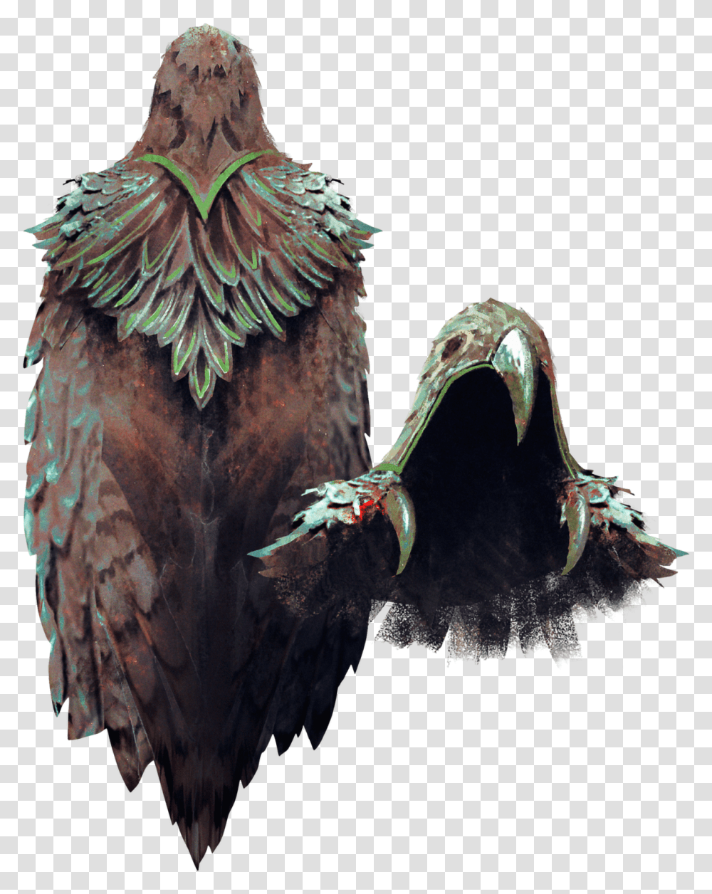 Cloak Of The Seahawk, Animal, Bird, Eagle Transparent Png