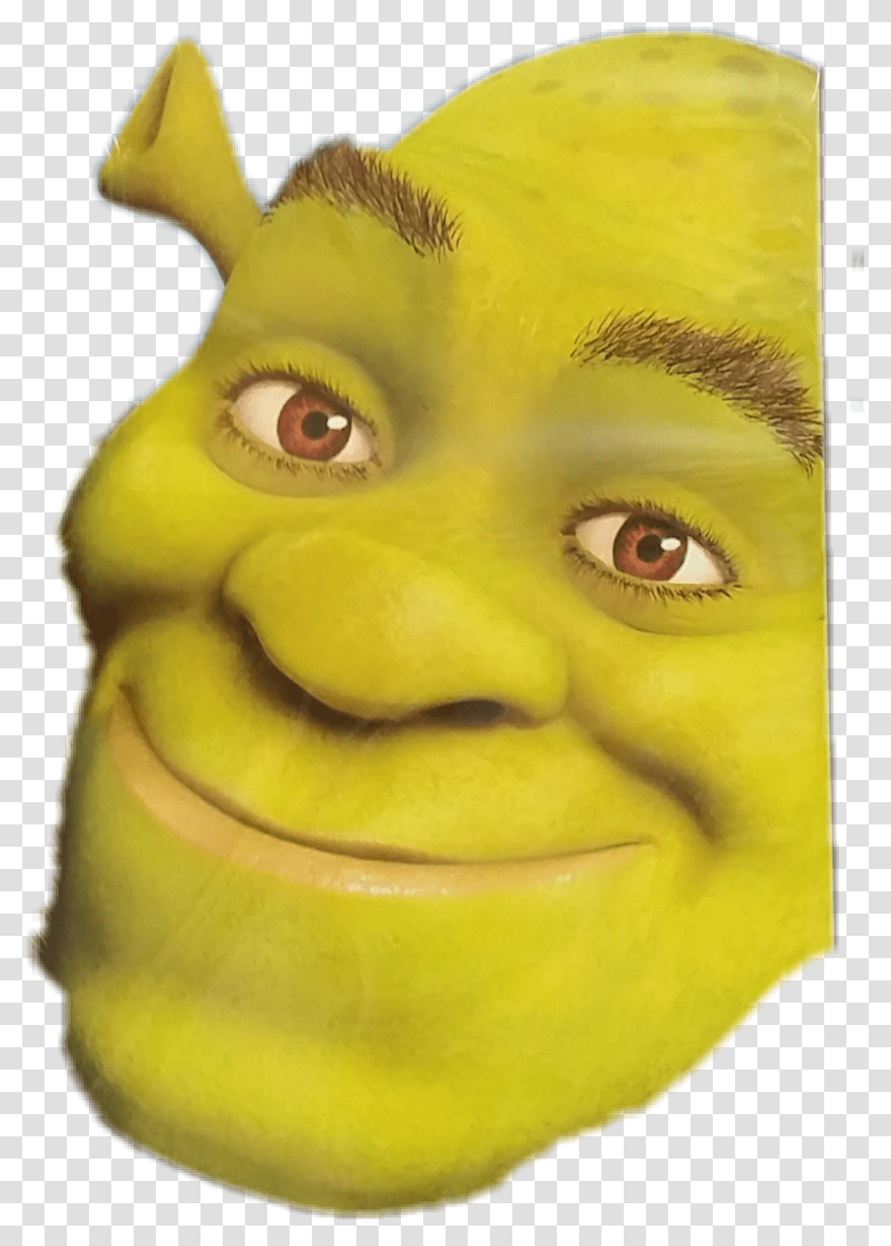 Close Up Clipart Close Up Shrek Face, Toy, Head, Plant, Teeth Transparent Png