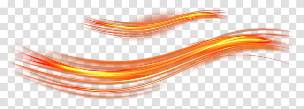Close Up Font Angle Light Feeling Cool Clipart Light Line Orange, Bird, Animal, Wire, Coil Transparent Png