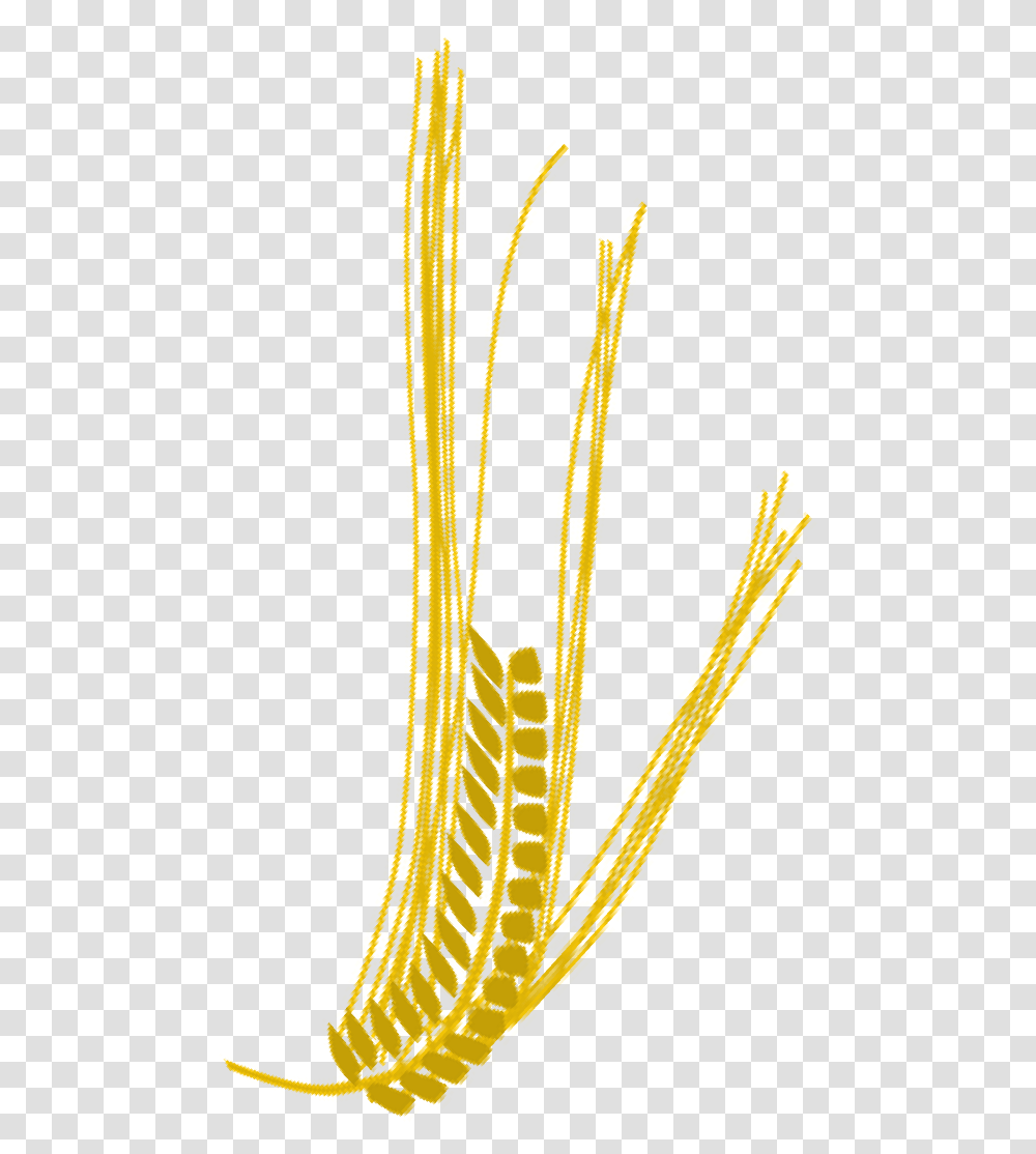 Close Up, Gold, Musical Instrument, Animal, Sea Life Transparent Png