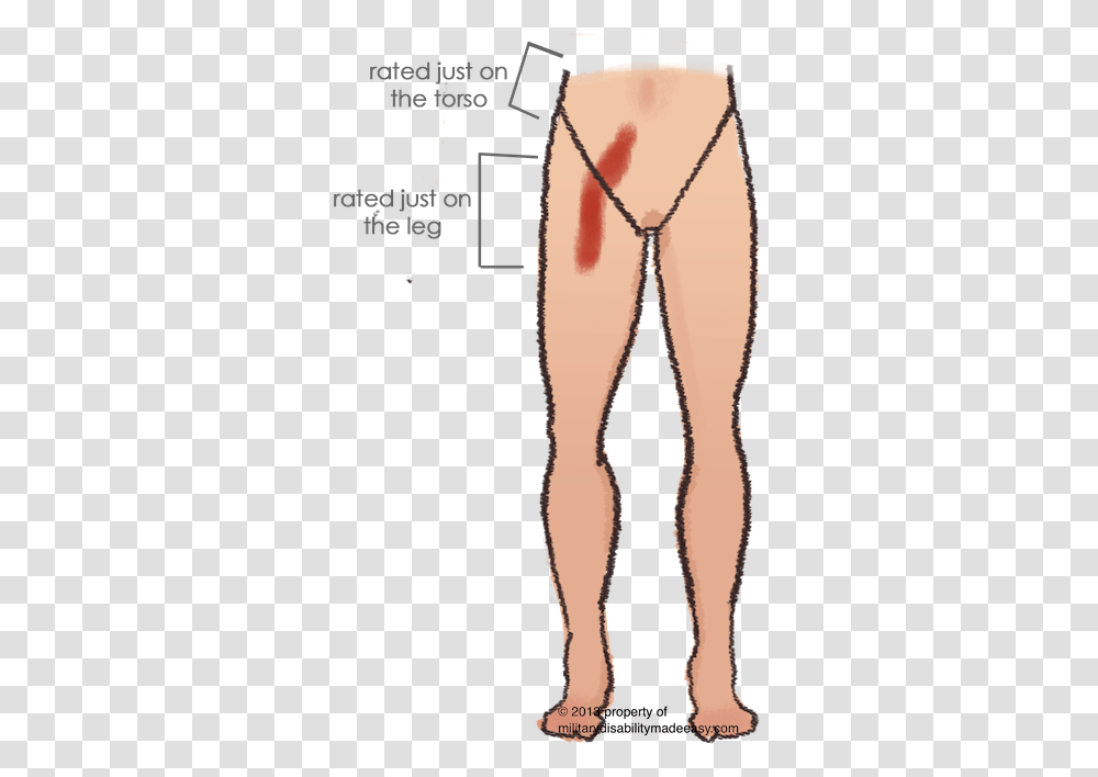 Clothing, Apparel, Plot, Pants Transparent Png