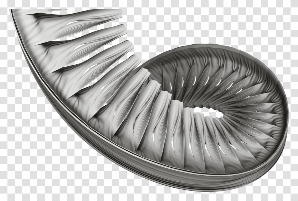 Clothing, Apparel, Shoe, Footwear Transparent Png