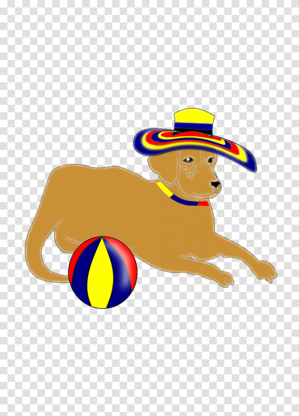 Clothing, Apparel, Sombrero, Hat Transparent Png