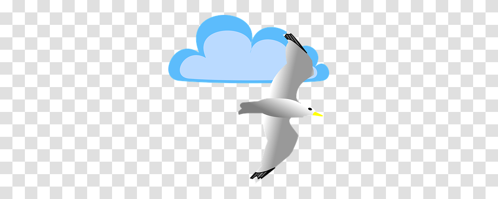 Cloud Animals, Flying, Bird, Seagull Transparent Png