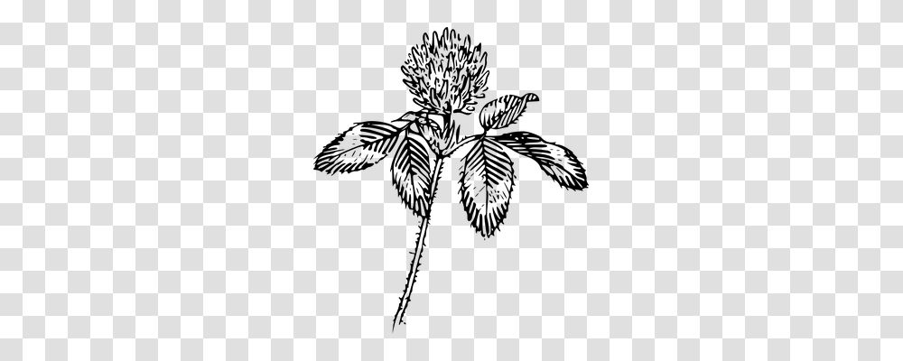 Clover Nature, Gray, World Of Warcraft Transparent Png