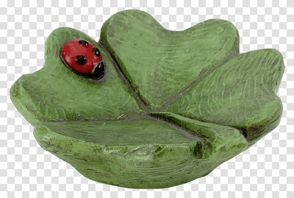 Clover Dish Bullfrog, Amphibian, Wildlife, Animal, Tree Frog Transparent Png