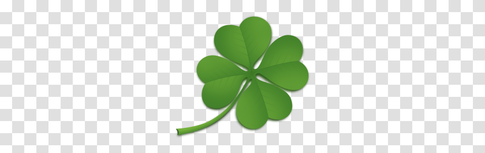 Clover, Flower, Green, Leaf, Plant Transparent Png