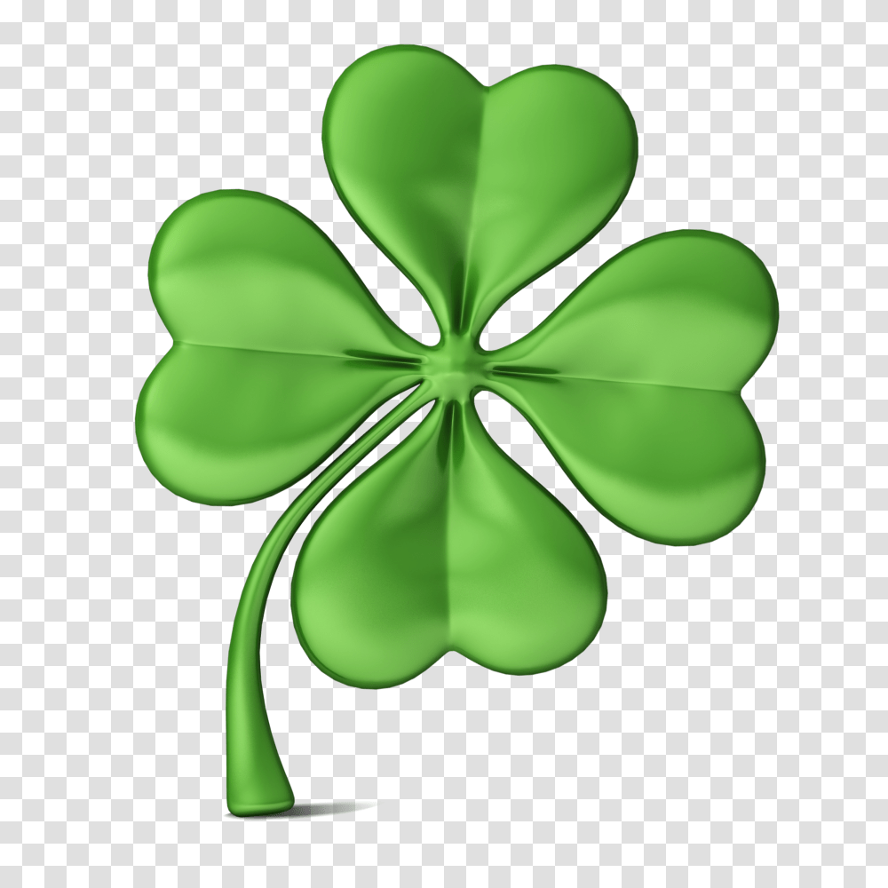 Clover, Flower, Green, Leaf, Plant Transparent Png