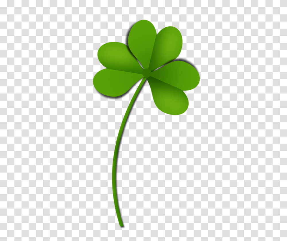 Clover, Flower, Green, Plant Transparent Png