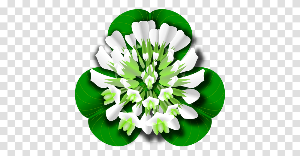 Clover Flower, Plant, Pattern, Leaf Transparent Png