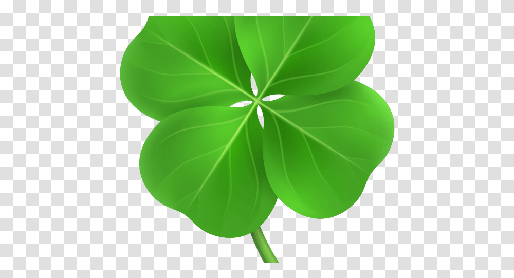 Clover Images Four Leaf Clover Field, Plant, Green, Veins Transparent Png