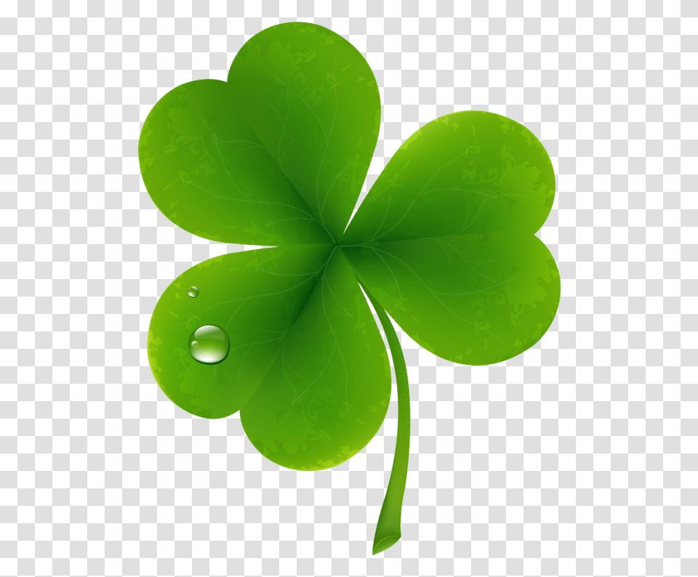 Clover Leaf, Plant, Green, Droplet, Tennis Ball Transparent Png