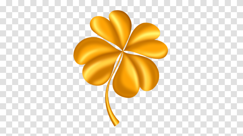 Clover, Plant, Petal, Flower, Blossom Transparent Png