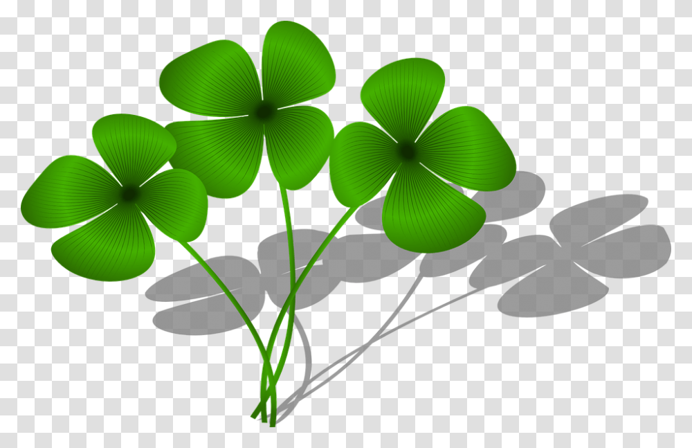 Clovers Luck Flora Green Plant Symbol Clovers Clipart, Leaf, Pattern, Flower, Blossom Transparent Png