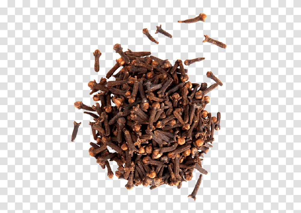 Cloves 2 Image Home Remedy For Dog Worms, Chandelier, Lamp, Bronze, Spice Transparent Png