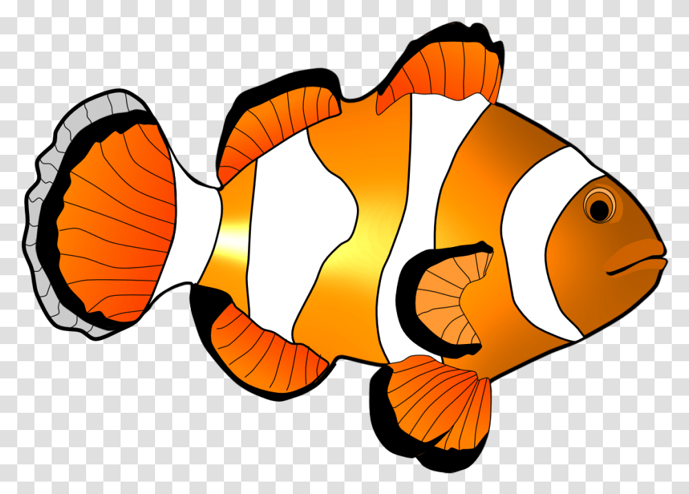 Clown Fish Clip Art Clipart Coral Reef Fish, Animal, Amphiprion, Sea Life, Goldfish Transparent Png