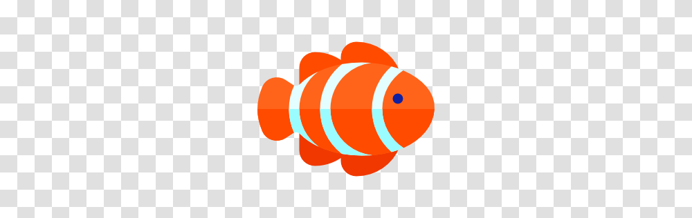 Clown Fish, Goldfish, Animal, Dynamite, Bomb Transparent Png