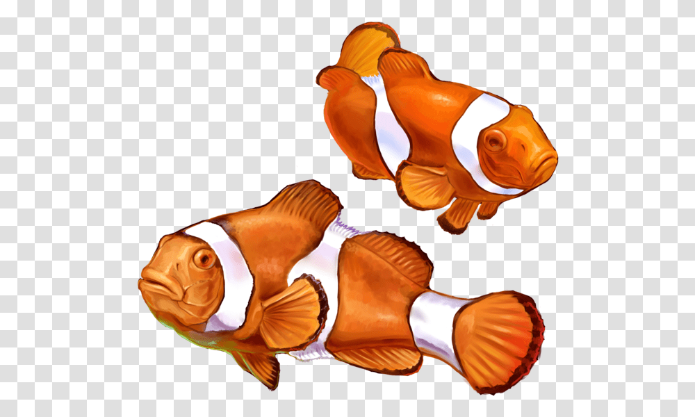 Clown Fish Graphic Library Nemo Fish, Animal, Amphiprion, Sea Life, Person Transparent Png