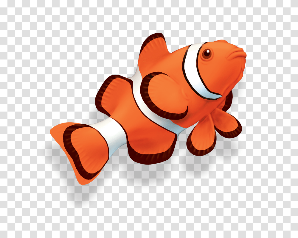 Clown Fish Kelly Laity, Animal, Amphiprion, Sea Life, Goldfish Transparent Png
